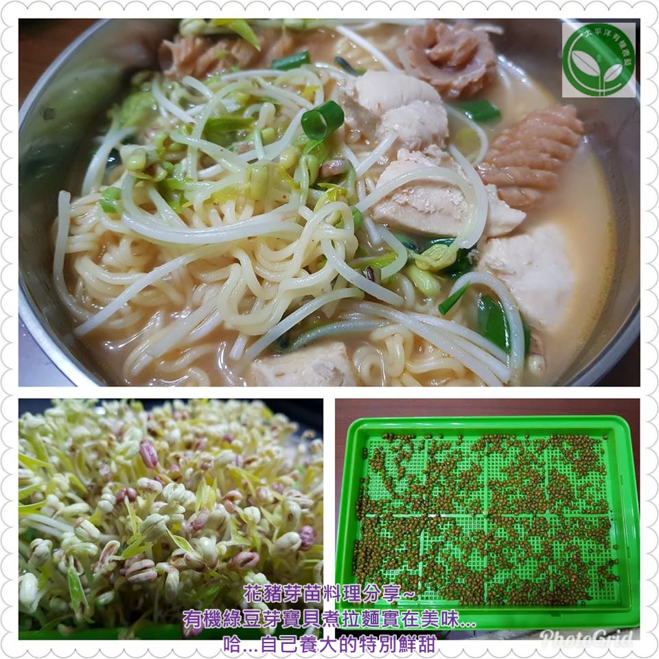 #ºØ¨§ªÞµæ #µoªÞ¨§¼ß¦n³B #¹å¨§ªÞ¤èªk #ºØ¨§ªÞµæªº¤èªk #¦Û¤vºØ¨§ªÞµæ #«ç»òºØ¨§ªÞµæ #¹å¨§ªÞ #¤ôºØµæ #¦Û¤v¹å¨§ªÞ #¦p¦óºØ¨§ªÞµæ